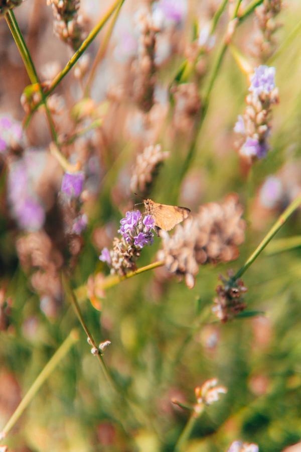 B&B Al Giardino Dei Laghi Revine Lago Exteriér fotografie
